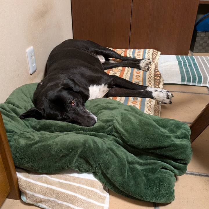 273e4264 5d5b 43c6 867d 52716e4f585d 1742735504882