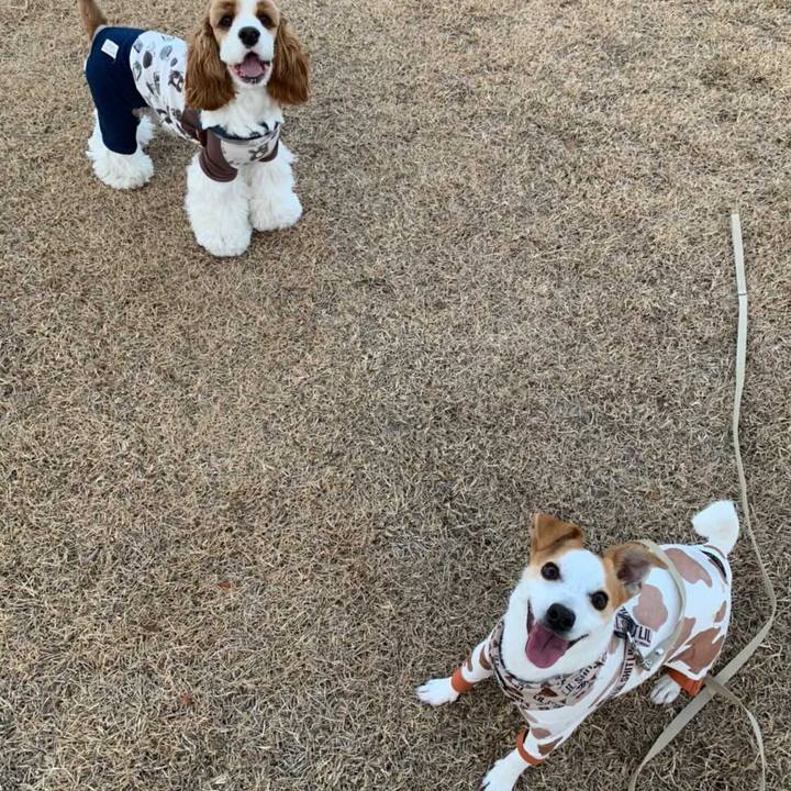 273e6f9a b870 480f 854e cb5d33436af5 1610621587324