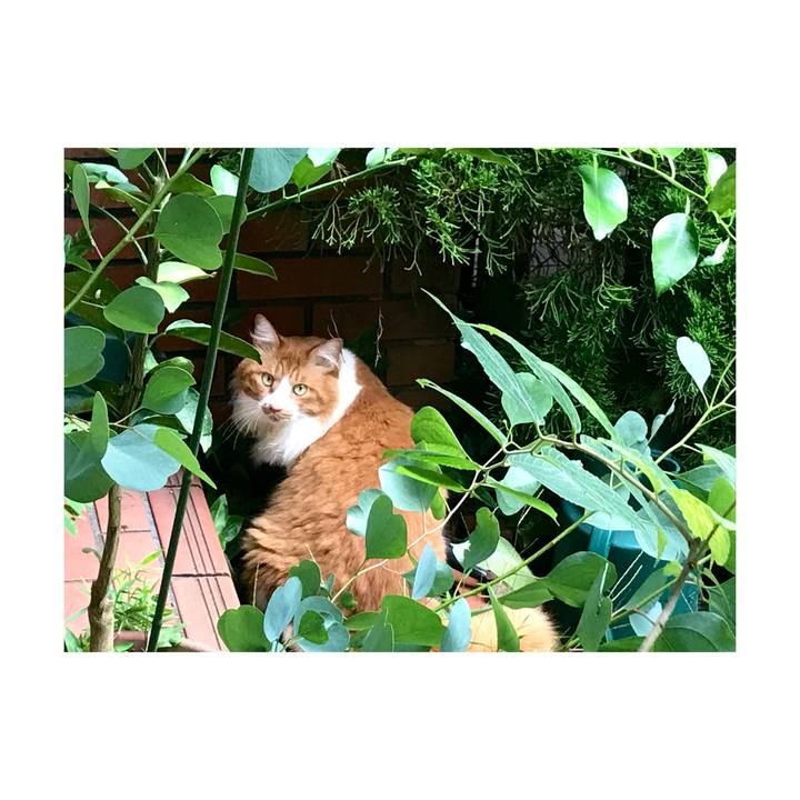 273e9f0d c647 4f68 874f 55b835b789fb 1662367419556