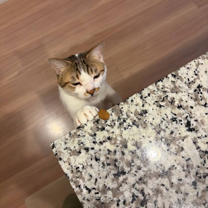 273eabc0 ab89 4958 aafa 1572d7365230 1768267773658