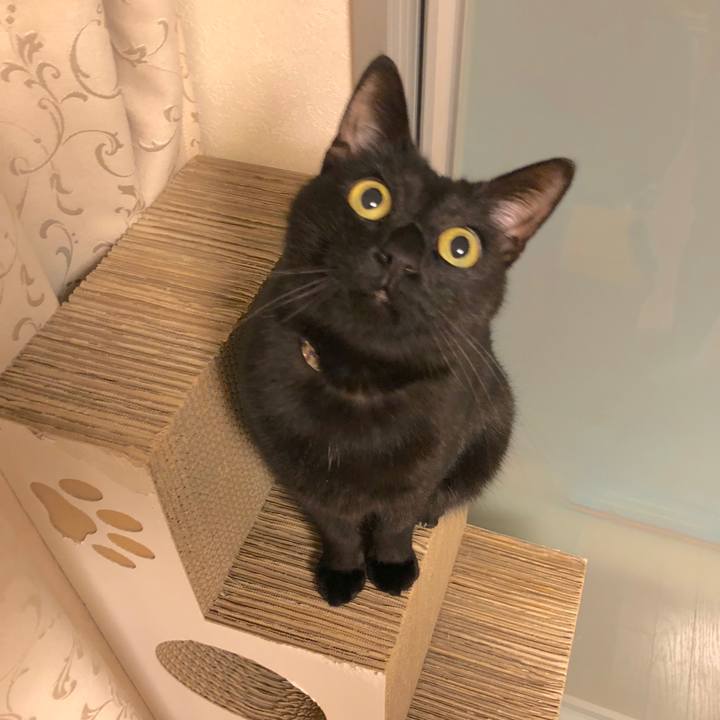 273ec7ec 1add 4389 828e c8dd8cbdf3c3 1513250195926