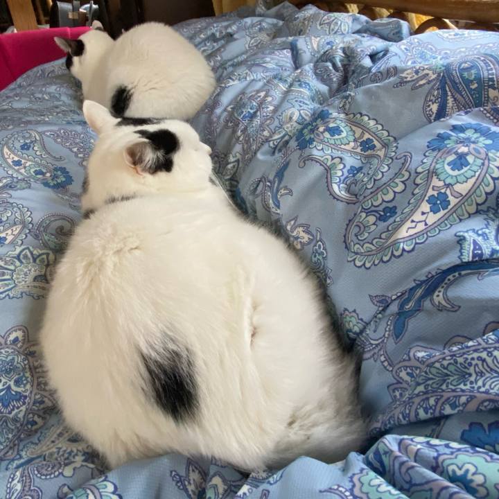 273ec96d feaf 420e b209 75f6178c053a 1669159377651