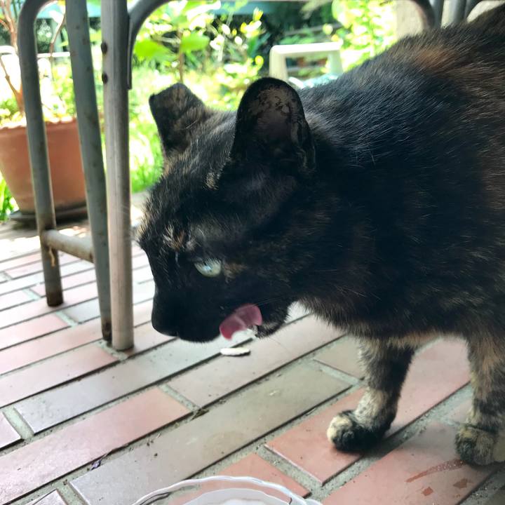 273f401f ef09 4576 91bd 08abcfb220c0 1528001332539