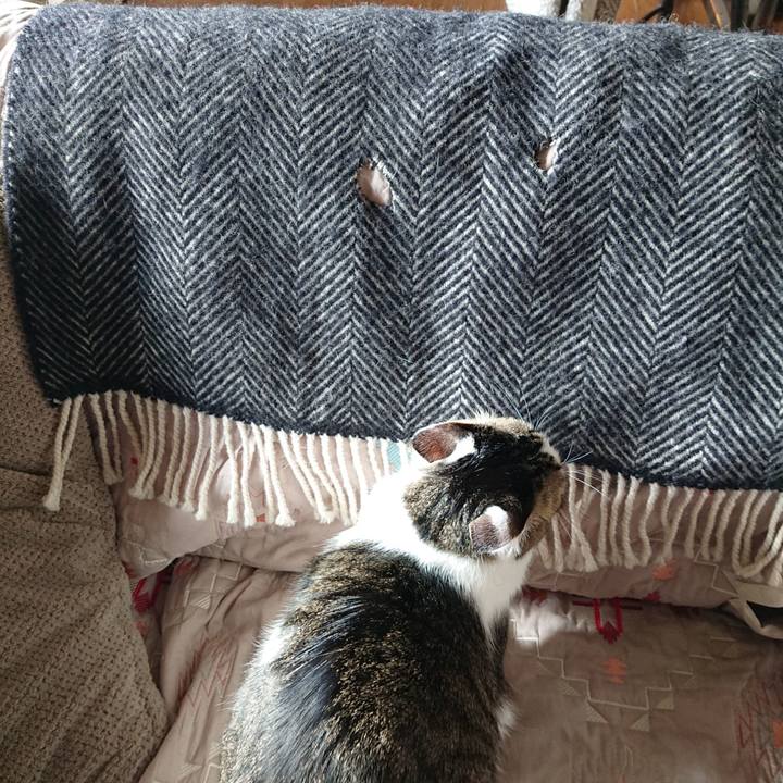 273f83ce 7b6d 485a bc66 685e9fae47da 1608953053160