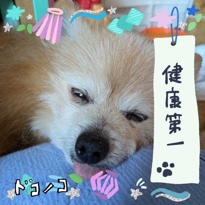 273f8bd7 07e5 4d42 8358 0548e5000b88 1720822083255