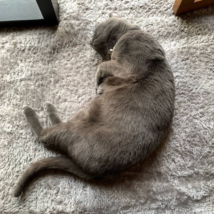 273f93d3 0fc6 4ff2 b2d2 16250056efe6 1644393626898