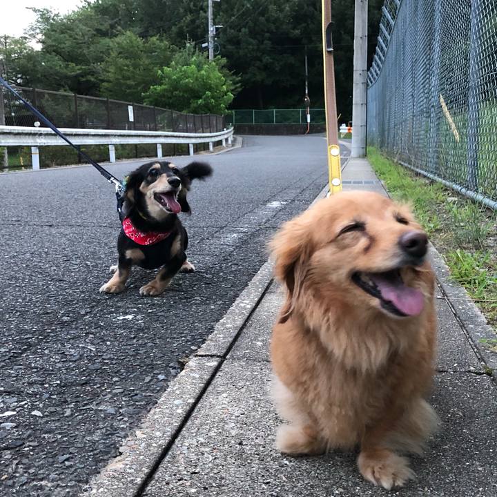 273fa042 7416 475f 8ed5 fc28dfaba772 1596453635351