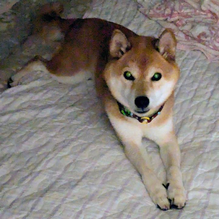 273fa607 589d 4854 a0fa 60942e3054a6 1755011380614