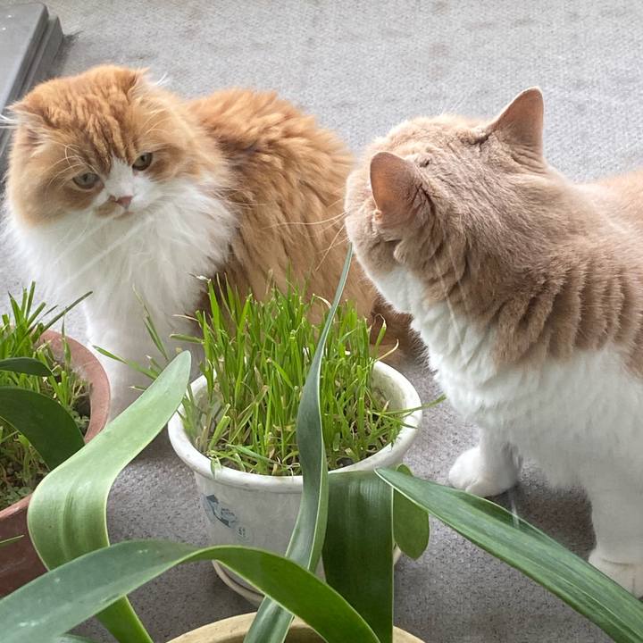 273fbaa0 e508 4bea b116 ad6b6a0c2939 1623909452636