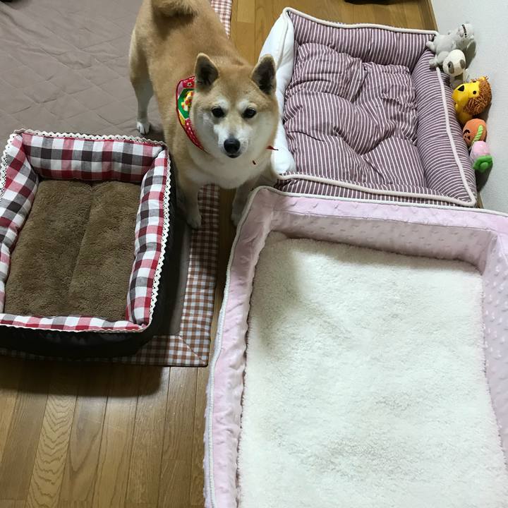 273fd9b4 1d62 4381 8b51 27143f438a97 1524222470466