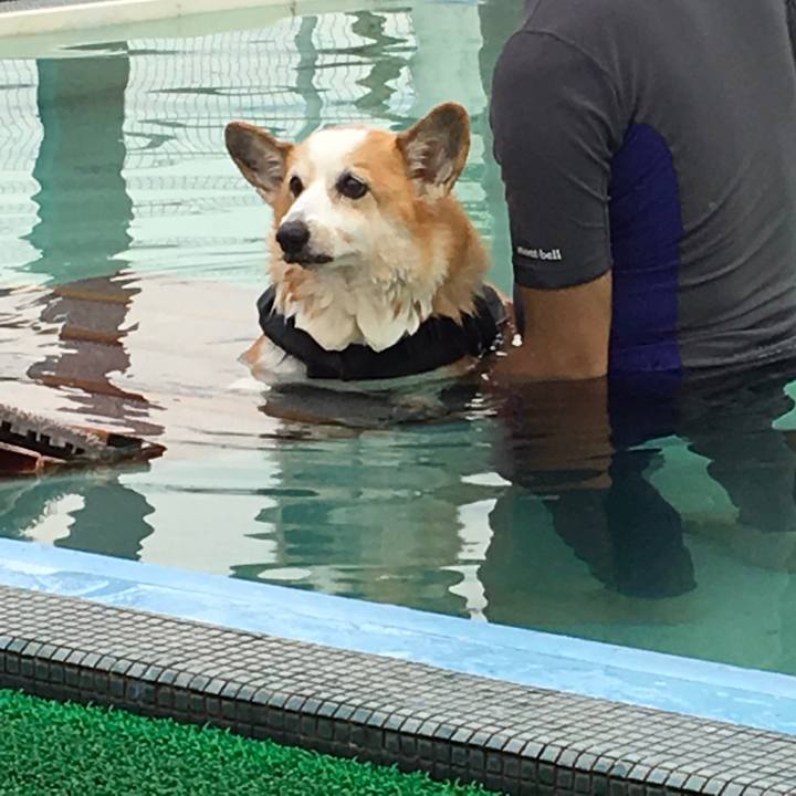 273fe870 d940 4689 ac49 2032d7ac01b2 1536229287809