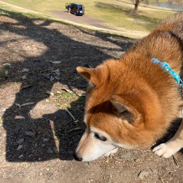 273fe8e2 aef1 47ec a993 bd1d553b8797 1678269339066