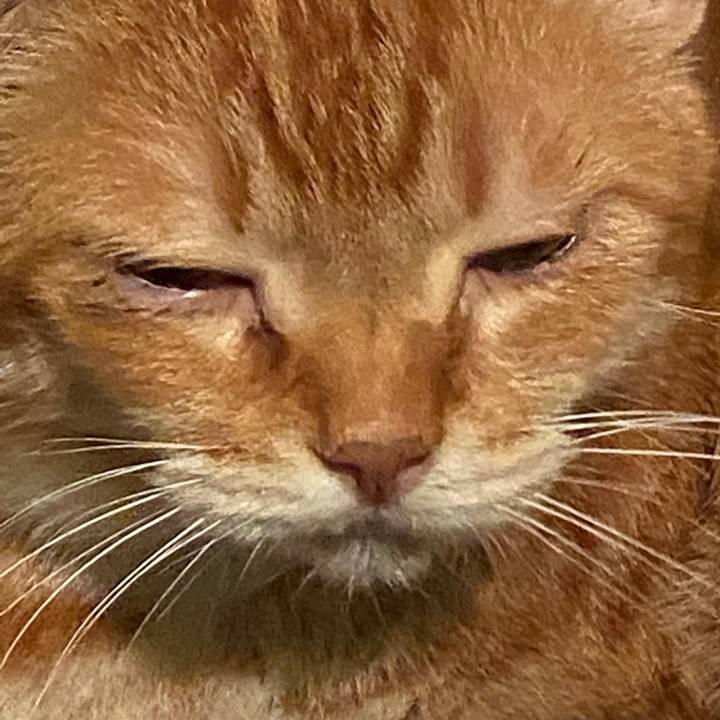 27404380 f0ec 4ce8 9528 b27948cc7f6f 1584562675715