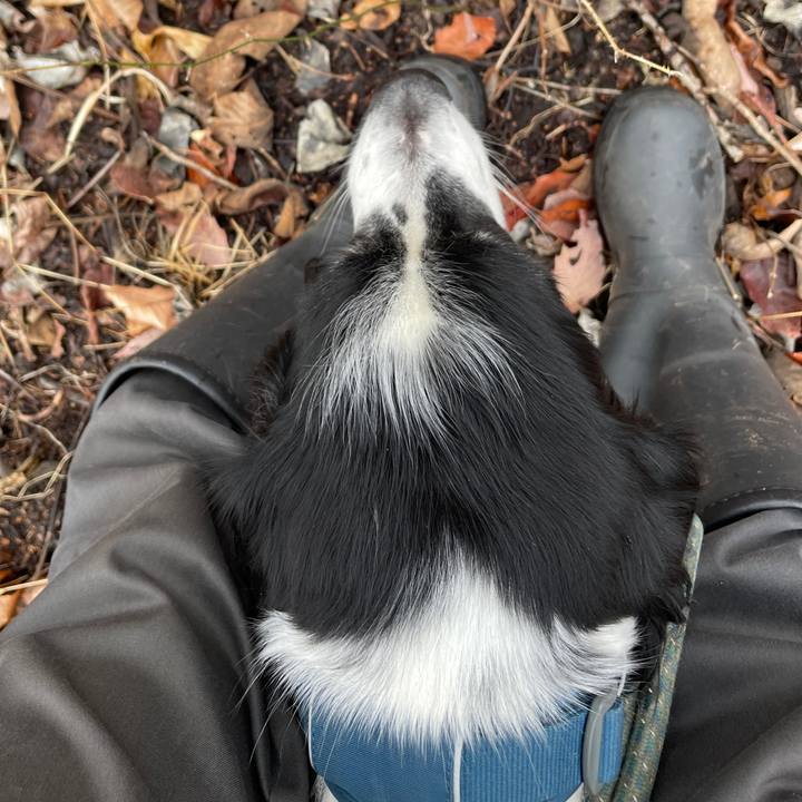 27405a20 e01c 479f af78 c7e7b901d17f 1772094529544