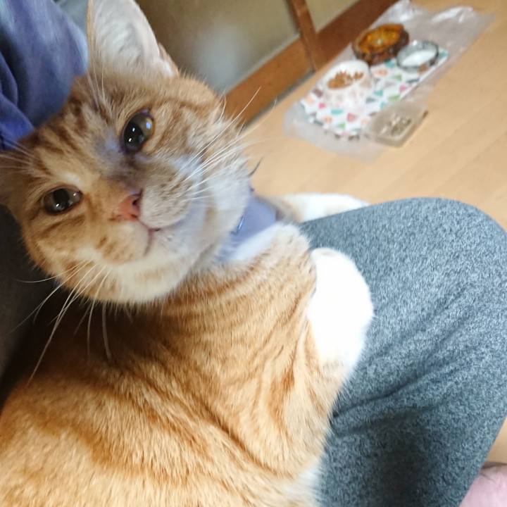 274065a4 25d3 437c a247 99a037e1133c 1607938190230