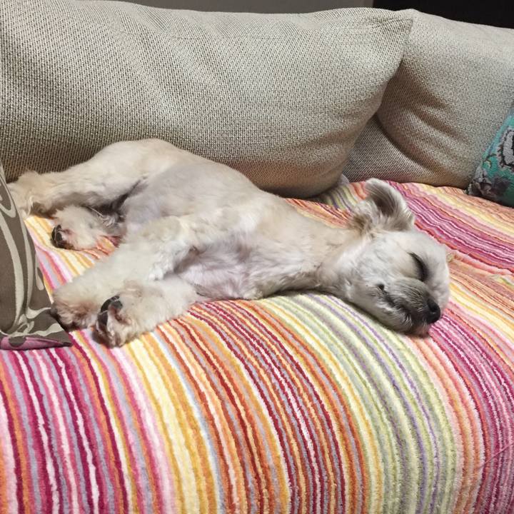 27407e48 4c87 4230 bbd6 c009ea3c8c9d 1568027082035