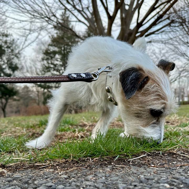 27408796 31b4 4dfe a0b3 495f7ba15261 1741686423098