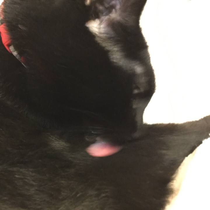 2740a307 1951 41b2 a75f eea75c2db9f0 1524925788414