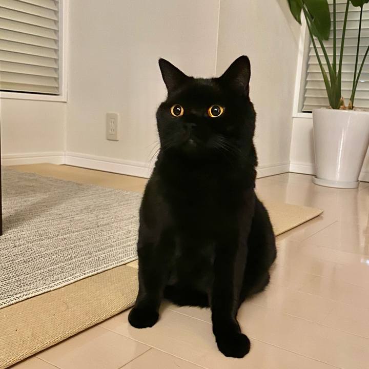 27411cc9 4a18 4c1c 9106 e4c9b28ac352 1644326960194