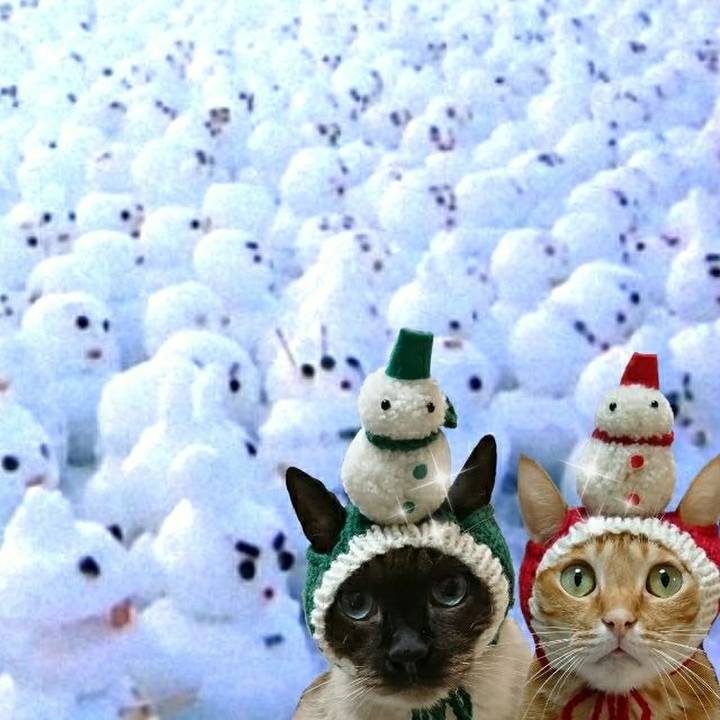 27412d6a efd4 48b6 8e39 25685524341b 1547381169105