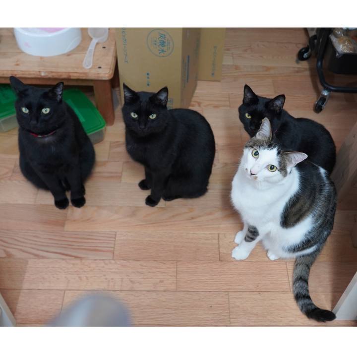 27415955 2b5f 4d1f 91ed cd4341f5e7ab 1589618767467