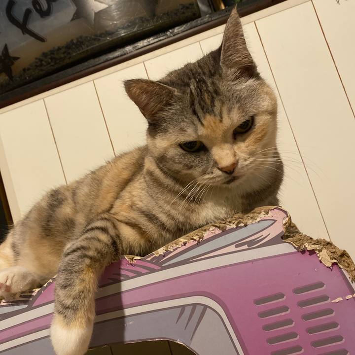 274164d2 118c 4abb b82f 392dc5c66f34 1697641140651