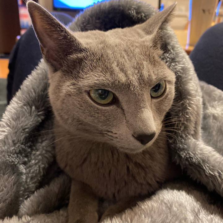 274184f3 a7e4 4c83 b674 100ebec6cb14 1670161422454