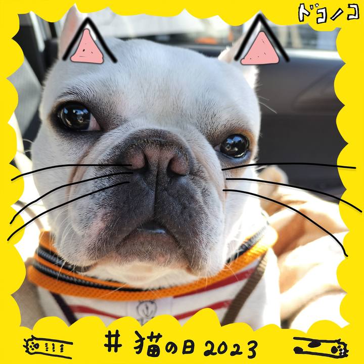 27419154 6dee 4e7c a1c0 3e73feb1ed45 1677020246156