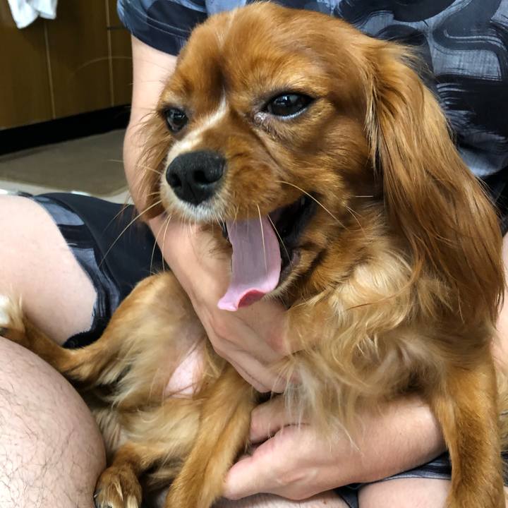 27419e65 768e 49ef 8efb b5cbe3cb3868 1527805456439