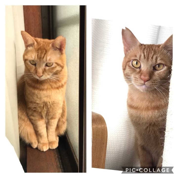 2741cf2c 92a3 4093 8956 46c29c39f26d 1587687235383