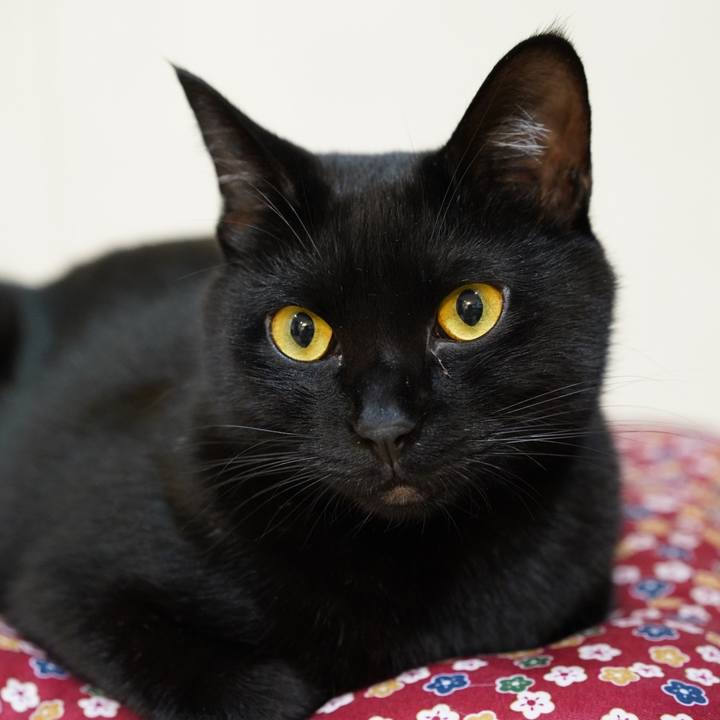 2741f1fa 3fa5 486f 8979 3cb73a7bd81d 1571788208847