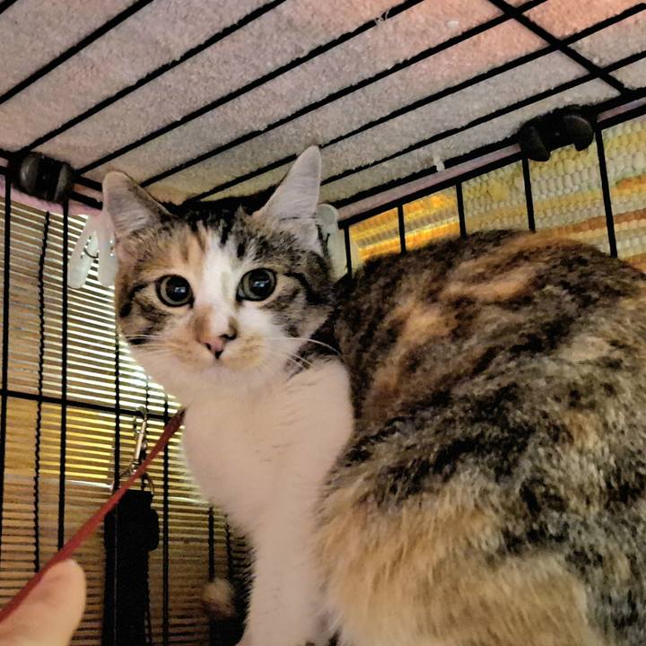 2741ff69 e510 43d0 8fce 5566c093769e 1767829095655