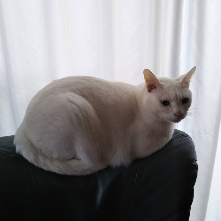 27420980 ace5 43c6 962c a648ef2eaf0a 1576804640389