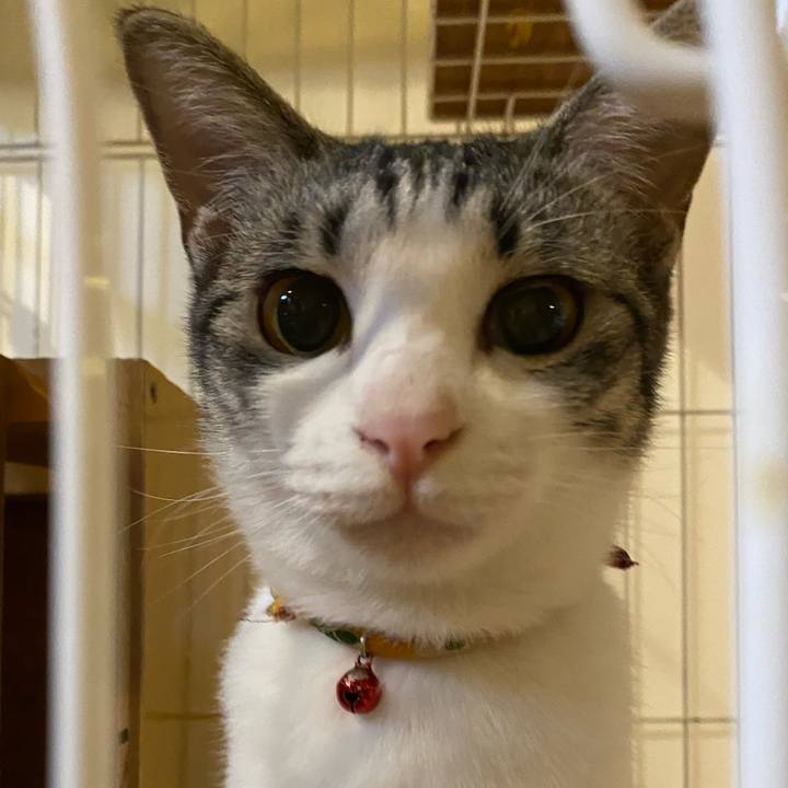 27421116 0101 47bc 9fe3 2fbad5906946 1759916714556