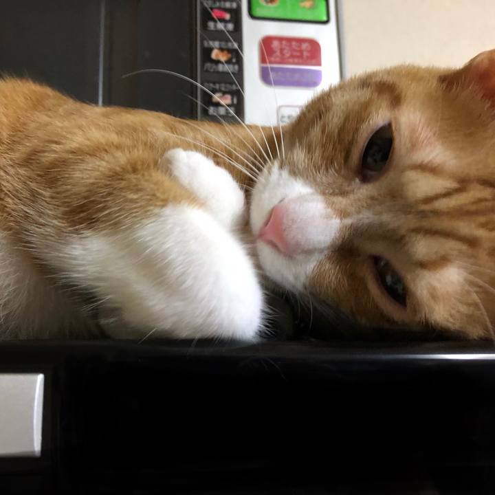 2742950e baba 4843 97a9 630c4672a87f 1566905138181