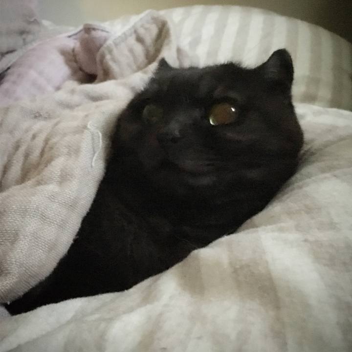 2742a85c 1213 4ac4 82a8 cb5989ad780c 1547166306579