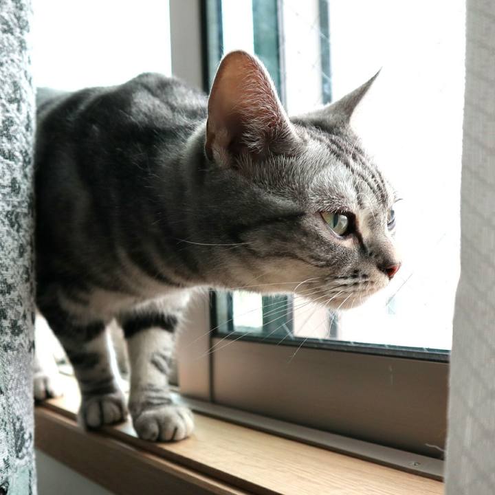 2742ca12 fead 4809 b6c7 38e7d968fc58 1586412248804