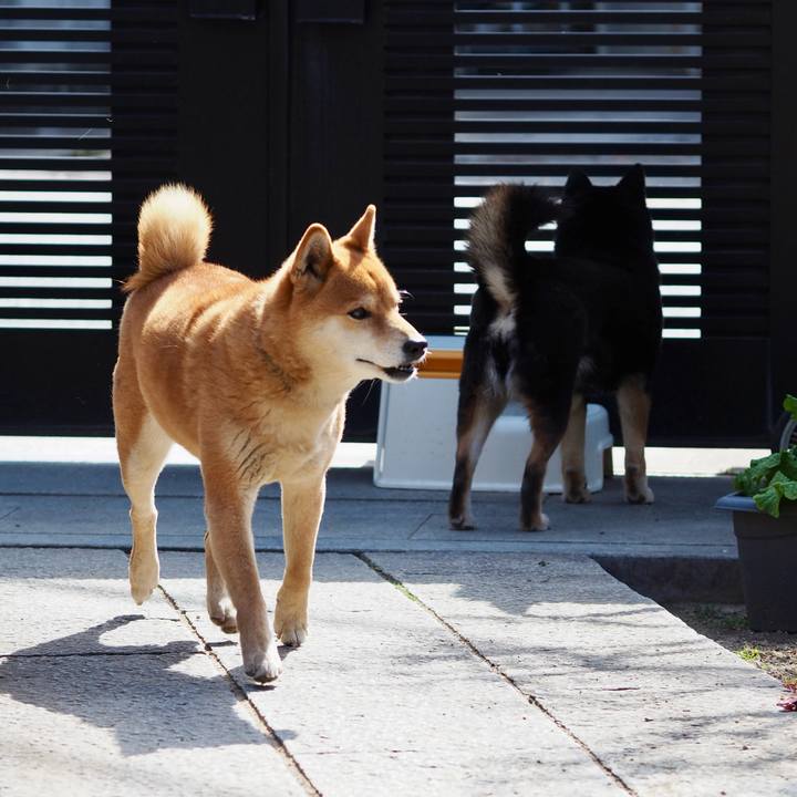 2742fad9 56b1 4518 8557 c19073cdd686 1771895213653