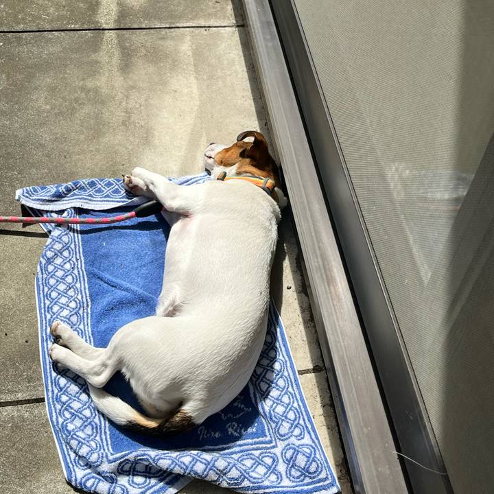 274303cd 0c92 4db7 ba58 358594e83342 1712879799384