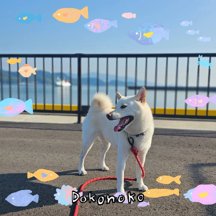 27432fce 8cb3 42cb 9e50 ad7ac6f3e1d8 1755434725959