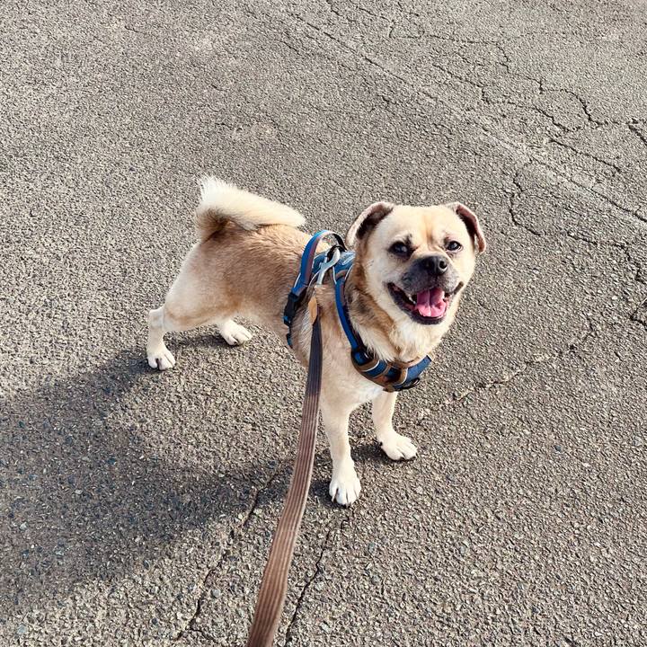 27435e59 48b9 4c39 8ef7 50004865a069 1761967027898