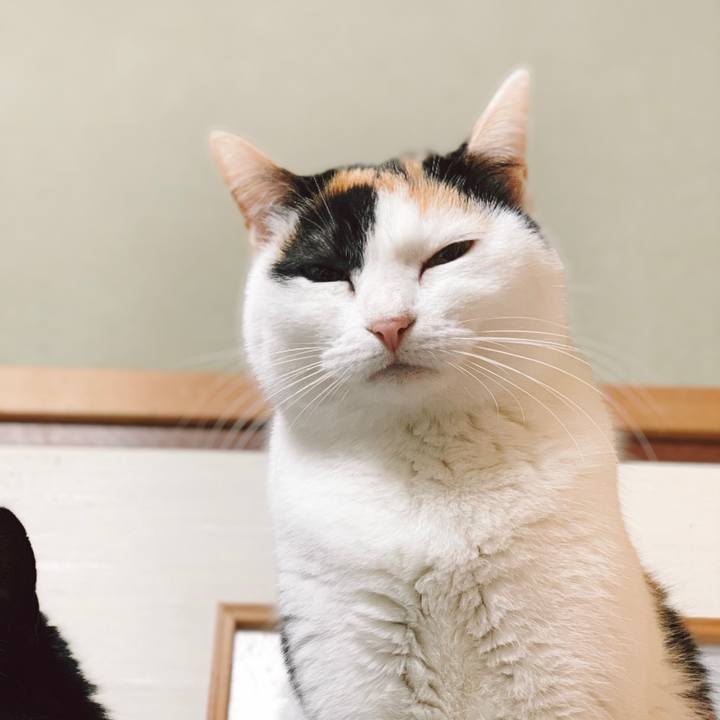 27437514 6e50 487c a8c7 9c7462d1dad4 1554341963337