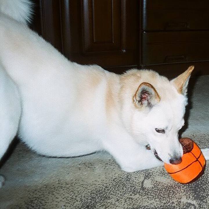 27439afa 3bef 4ca1 a57f 21a315ac5f46 1531314451479