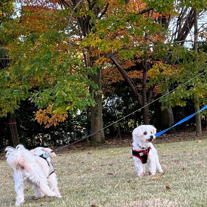 2743a453 5653 4db6 b424 681e033fa43e 1700736844126