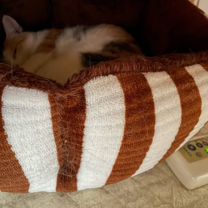 2743a646 cc93 4a98 acb4 fb16873446b1 1695522287411