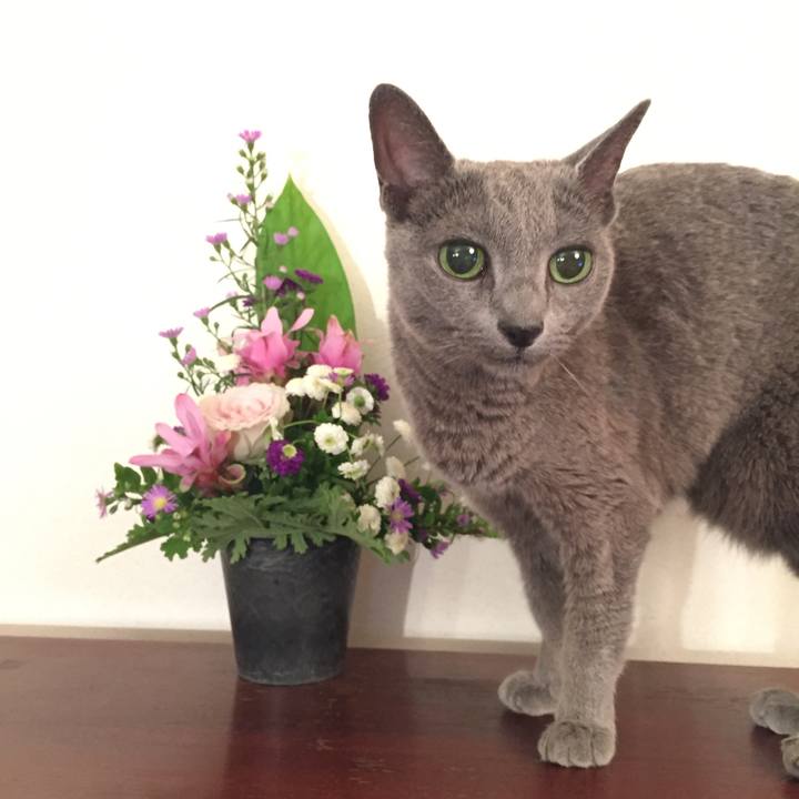 2743c129 90e2 430c 93a0 f7d8cf1bb64b 1567639614868