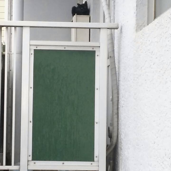 2743dfd2 c37b 40c3 9d08 4d9fe427e263 1538053636445