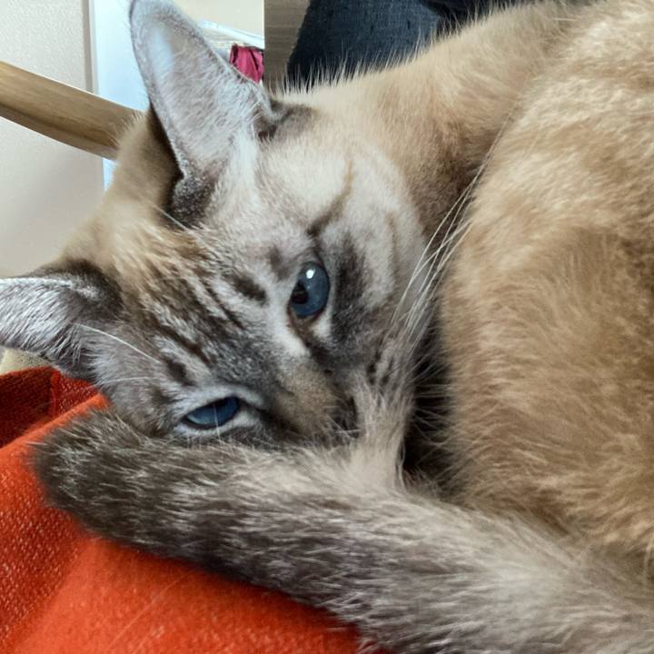 27442454 6d31 4951 9eae 6e8354676324 1640739679535