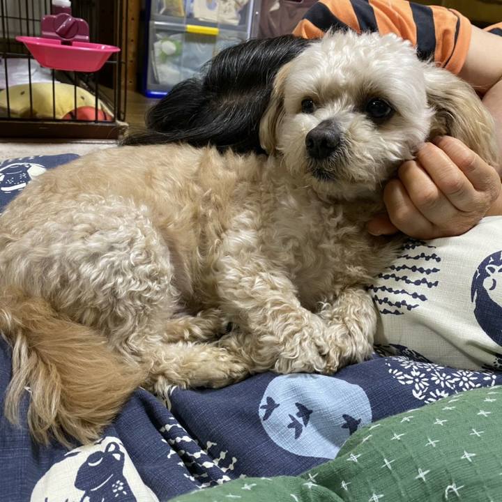 27442d9d e992 4f6b b742 054f7619c67c 1622115535568