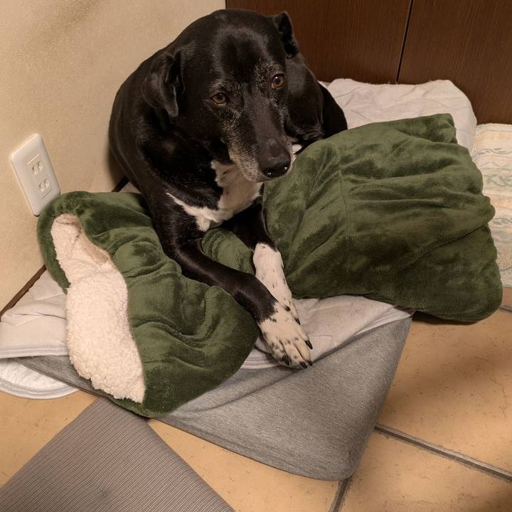 274446f7 43b8 482d 99a4 af4bf799dd36 1744493920376